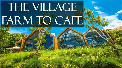The Village & The Village Farm .
